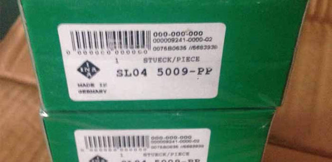 INA SL04 5009 PP 1 666x325 - INA SL04 5009 PP Roller bearing